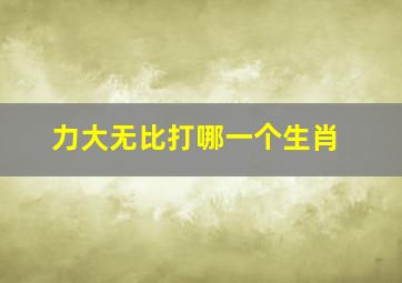 力大无比打哪一个生肖