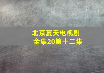 北京夏天电视剧全集20第十二集