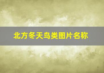 北方冬天鸟类图片名称