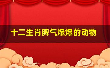 十二生肖脾气爆爆的动物