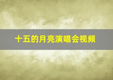 十五的月亮演唱会视频