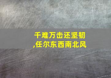 千难万击还坚韧,任尔东西南北风