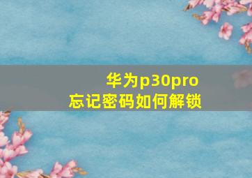 华为p30pro忘记密码如何解锁