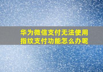 华为微信支付无法使用指纹支付功能怎么办呢