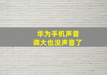 华为手机声音调大也没声音了