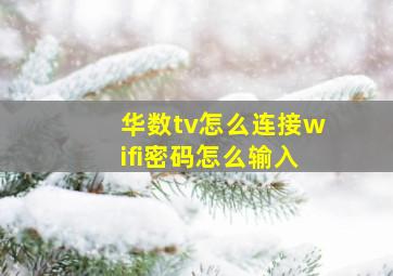 华数tv怎么连接wifi密码怎么输入