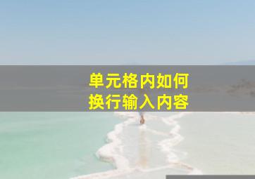 单元格内如何换行输入内容