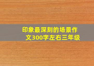 印象最深刻的场景作文300字左右三年级