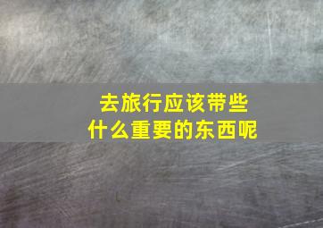 去旅行应该带些什么重要的东西呢