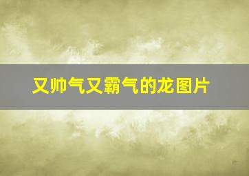 又帅气又霸气的龙图片