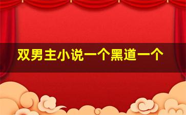 双男主小说一个黑道一个