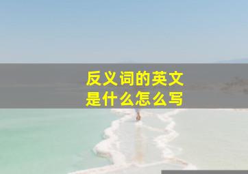 反义词的英文是什么怎么写