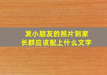 发小朋友的照片到家长群应该配上什么文字