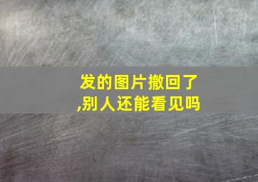 发的图片撤回了,别人还能看见吗