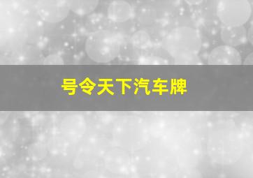 号令天下汽车牌