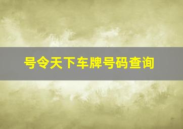 号令天下车牌号码查询