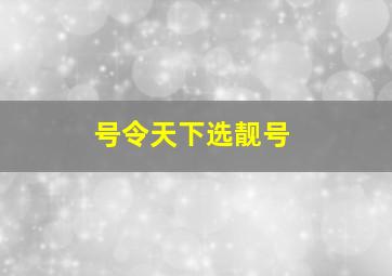 号令天下选靓号