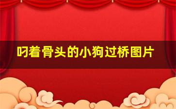 叼着骨头的小狗过桥图片