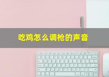 吃鸡怎么调枪的声音