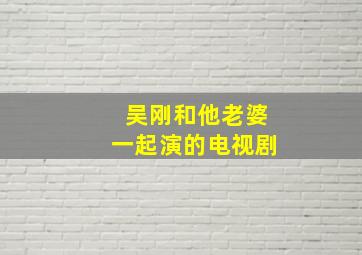 吴刚和他老婆一起演的电视剧