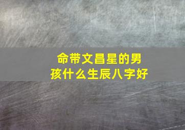 命带文昌星的男孩什么生辰八字好