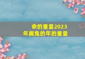 命的重量2023年属兔的年的重量