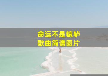 命运不是辘轳歌曲简谱图片