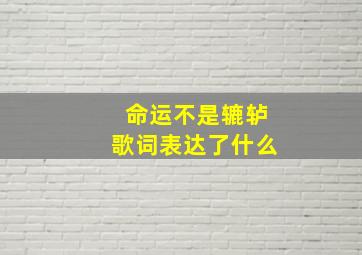 命运不是辘轳歌词表达了什么