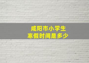 咸阳市小学生寒假时间是多少