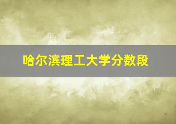 哈尔滨理工大学分数段