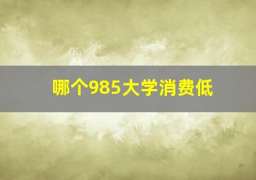 哪个985大学消费低