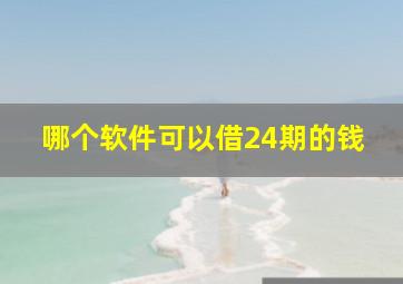 哪个软件可以借24期的钱