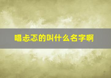 唱忐忑的叫什么名字啊