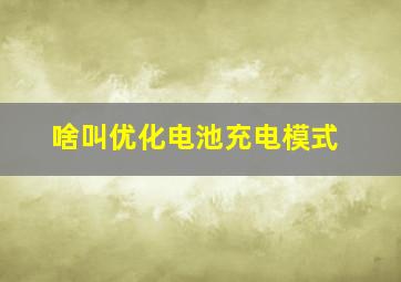 啥叫优化电池充电模式