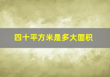 四十平方米是多大面积