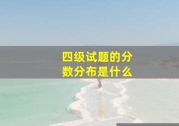 四级试题的分数分布是什么