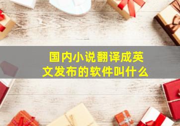 国内小说翻译成英文发布的软件叫什么