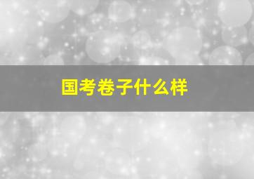 国考卷子什么样