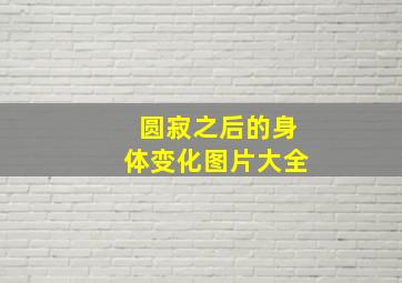 圆寂之后的身体变化图片大全