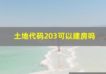 土地代码203可以建房吗