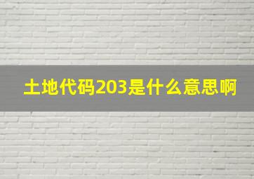 土地代码203是什么意思啊