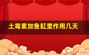 土霉素加鱼缸里作用几天