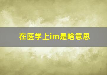 在医学上im是啥意思