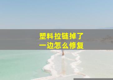 塑料拉链掉了一边怎么修复