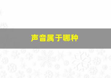 声音属于哪种