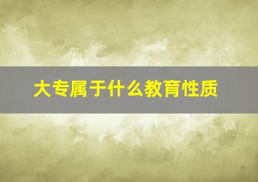 大专属于什么教育性质