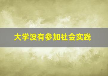 大学没有参加社会实践