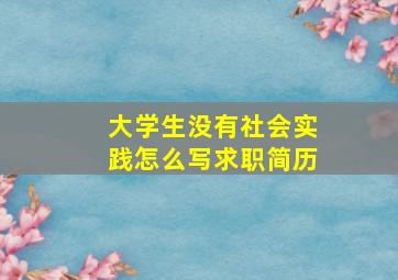 大学生没有社会实践怎么写求职简历