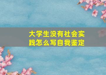 大学生没有社会实践怎么写自我鉴定