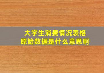 大学生消费情况表格原始数据是什么意思啊